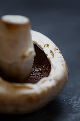 Champignon 500 g