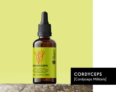 GOTERO CORDYCEPS 50ml