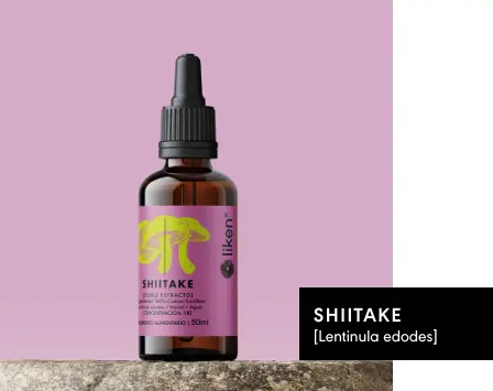 GOTERO SHIITAKE 50ml